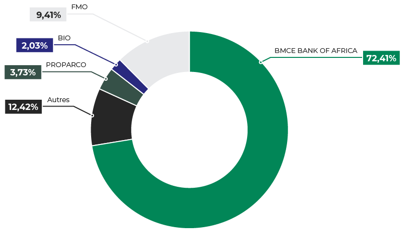 BOA Graph Pie 1 3